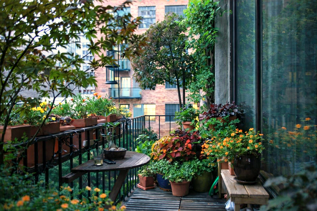 Container Gardening on Your Balcony