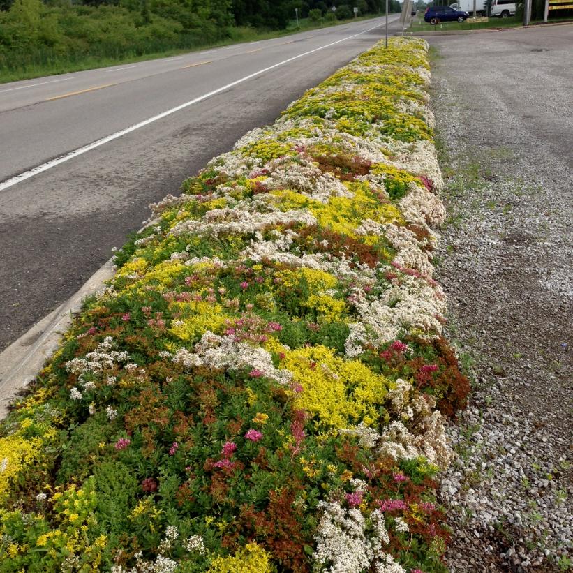 Sempergreen® Vegetation mats