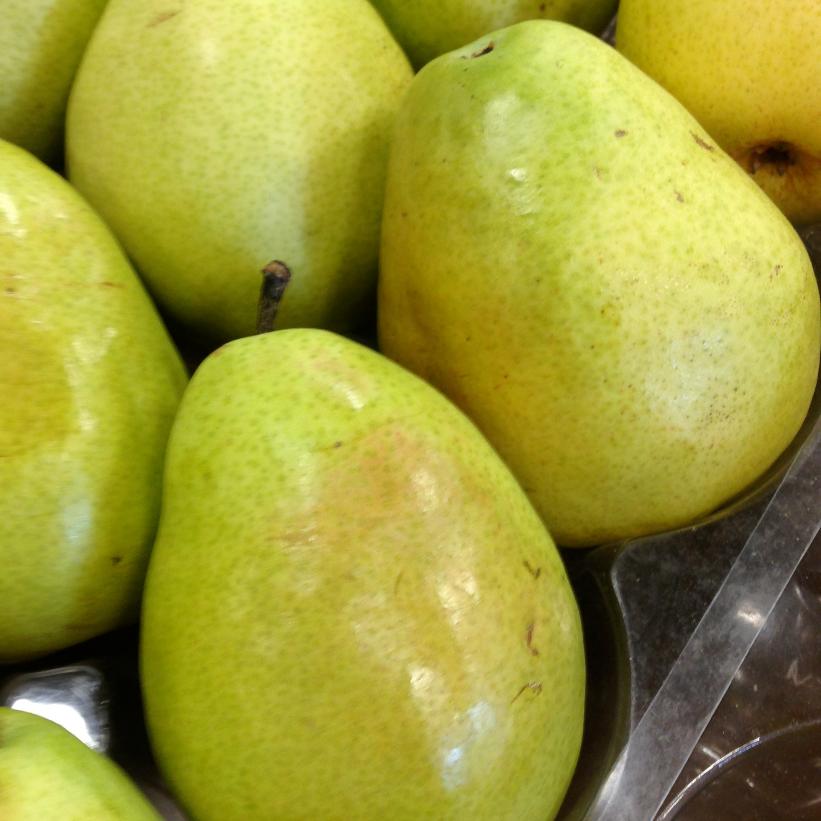 Anjou Pear