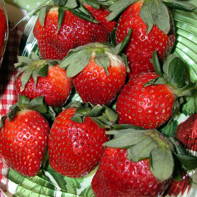 Eversweet Strawberry