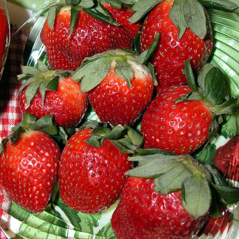 Honeoye Strawberry