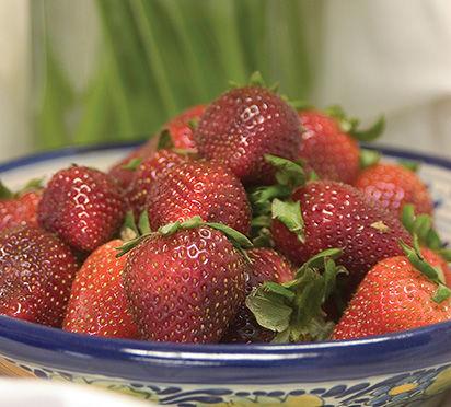 Fort Laramie Everbearing Strawberry